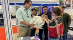 Next step towards Vietnam wool industry growth
