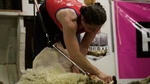 NSW shearer sets women's world record