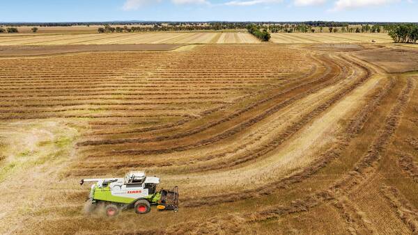 Farmers are busy consolidating their land holdings, bank lender says