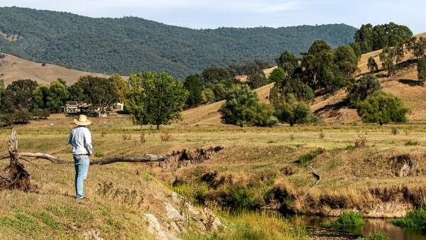 Pretty as a picture grazing in the Upper Murray goes to auction