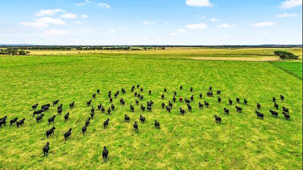 Irrigation powerhouse on offer in South Gippsland