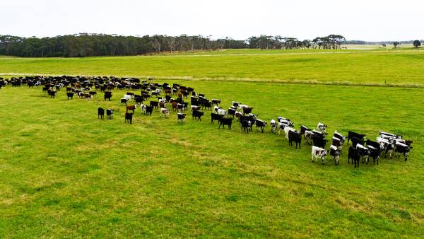 Two of the biggest farm sales this year just happen to be neighbours