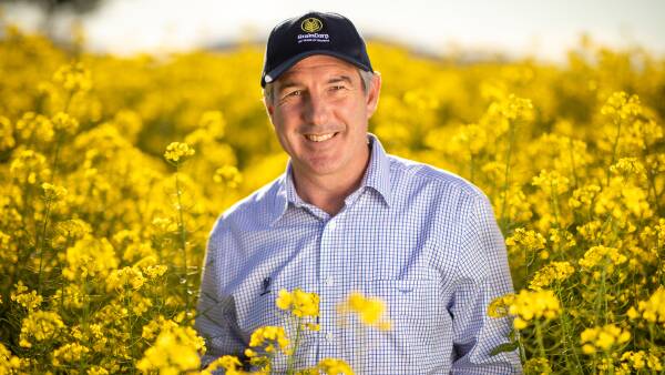 Crush opportunities highlight GrainCorp growth plan