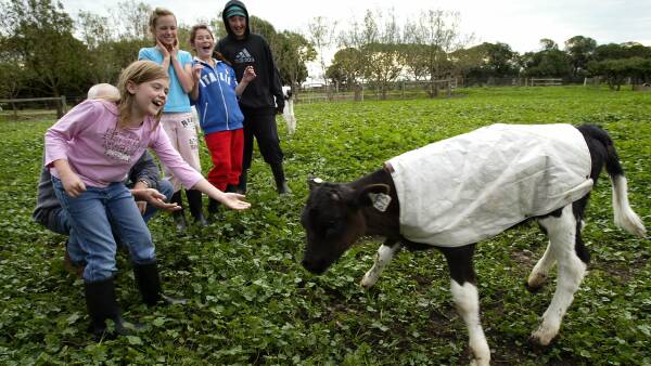 Host farm proposal aims to educate visitors about dairy industry