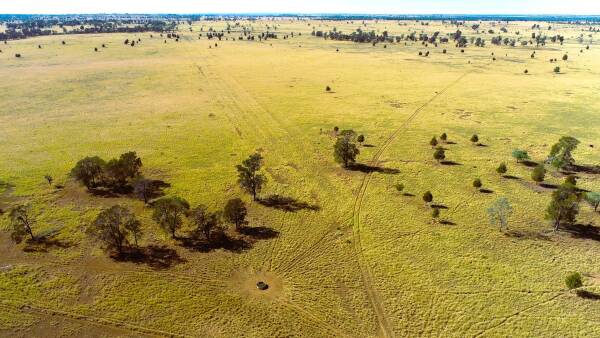 High quality Maranoa cattle country for 350 backgrounders