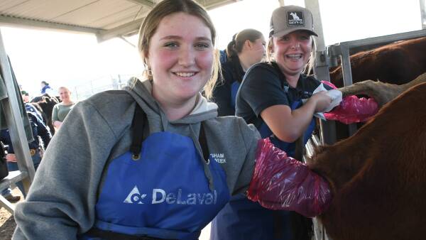 Manning Valley students roll up their sleeves for 'no bull' approach to learning