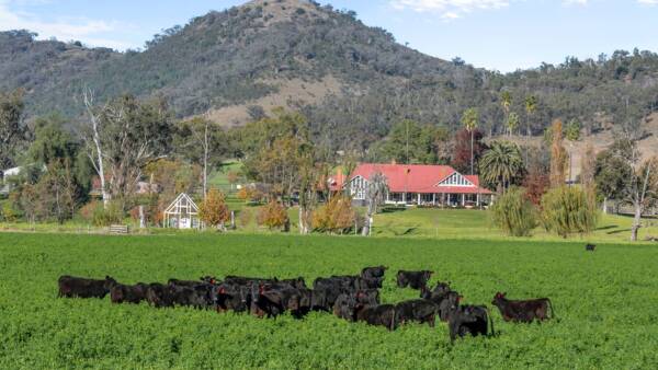 Complete with brewery, unique Dungowan Station heads to auction