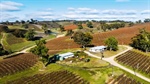 Dream of owning a vineyard close to the city, this could be the one
