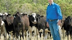 Survey seeks dairy farmers views on national breeding objectives