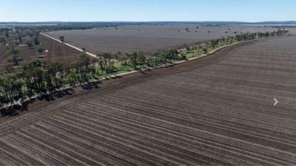 Farming country makes stunning $6803/acre at red hot auction | Video