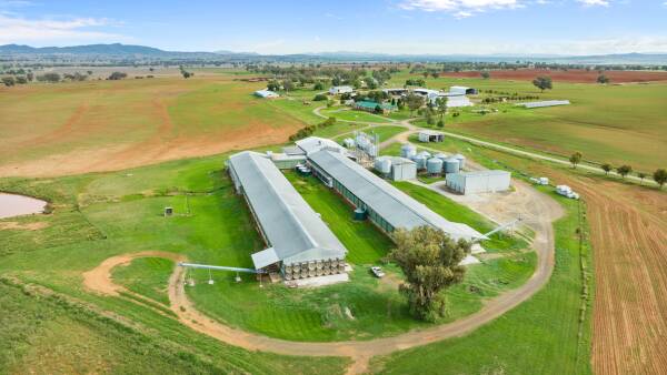 Highly functional 106,000 bird, egg producing farm on the market