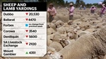 Winter hits sheepmeat market