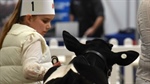Catch all the action from the junior classes at the Victorian Winter Fair