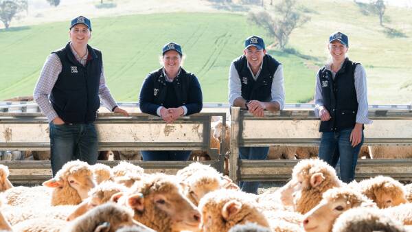 Gundagai Lamb takes road to quality and traceability heights