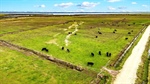 High rainfall cattle block will come at a high price in West Gippsland