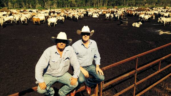 Cattle producers under fire for not taking threat to live-ex seriously