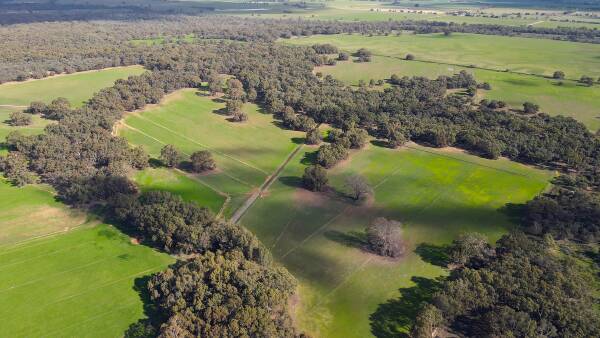 Irrigated river flats priced for sale under $2000/ac