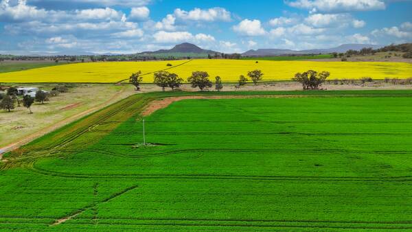 Premium Liverpool Plains cropping, grazing aggregation on the market