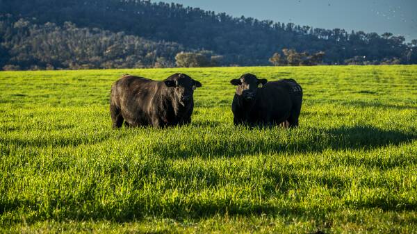 Aohai Australia puts two major NSW farming operations on the market