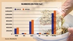 Cattle on feed numbers set yet another record: How big can lotfeeding grow?