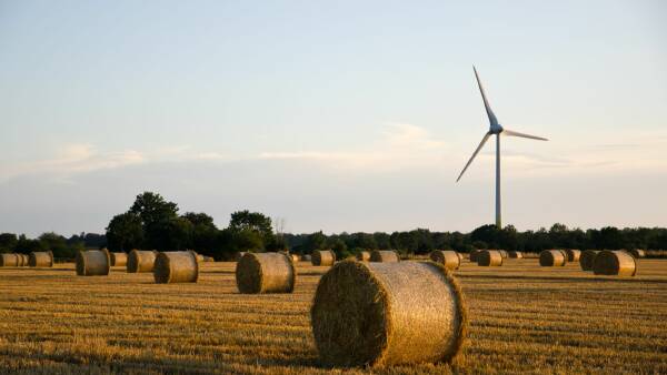 Locals must benefit from renewables by profit-sharing with energy firms