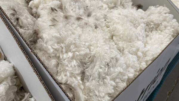 More pain for wool as EMI hits four year low