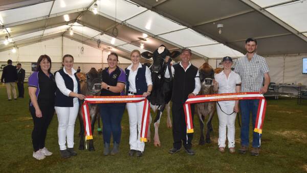 Daughter of supreme dairy interbreed 2022 takes top gong home at Adelaide