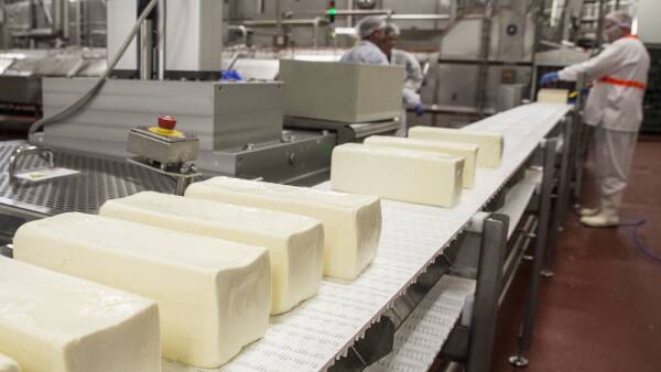 Japanese tipped to expand Aussie dairy stake as vital buyer for Beston