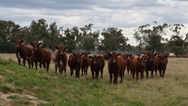 Central west country continues to sell well making solid $2334/acre