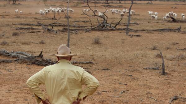 Farmers risk financial ruin as insurance premiums surge