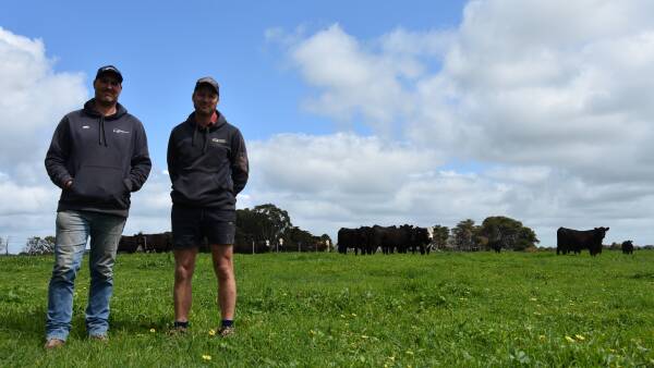 How one family manages 16 cattle farms, a feedlot and a Woolies contract