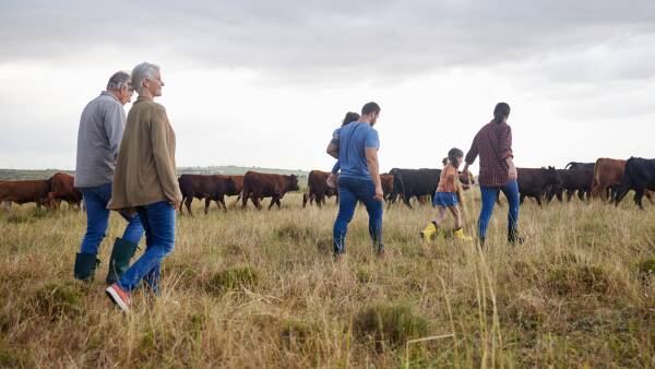 Superannuation changes pass lower house, in super bad news for some farmers