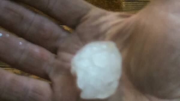 Monster hail storm crop damage set to smash records in Victoria