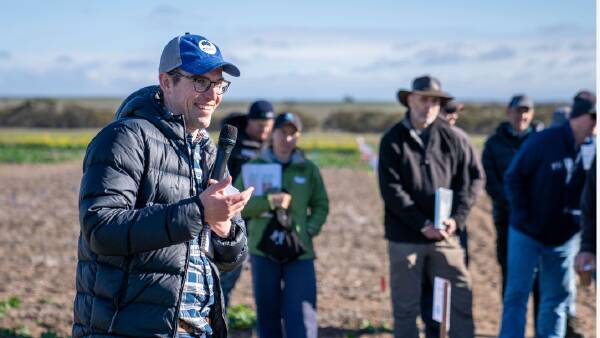 Low rainfall zone research to use new methods to push for yield boosts