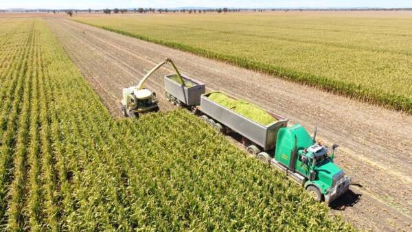 Lachlan Valley irrigation enterprise with 4638 megalitres of water | Video