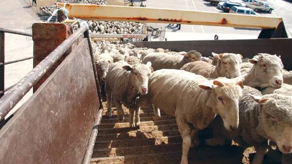 Submission support for live export ban, despite farmer concerns for industry