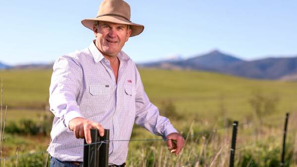 Coles on what beef consumers are chasing now and what they will pay for