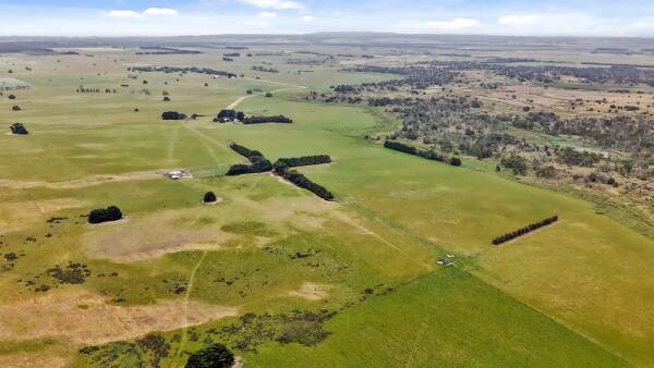 Prime grazing offer in Victoria's south-west offers expansion opportunity