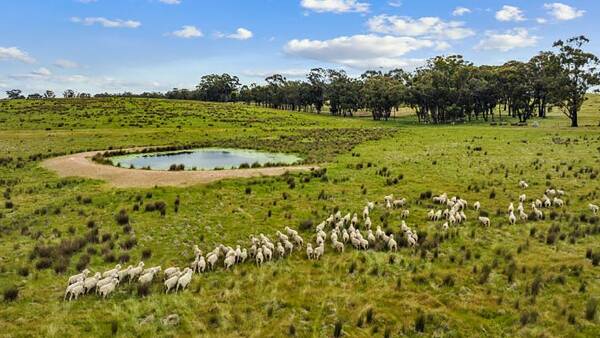 Vendor's instruction to drop the price leads to sale of versatile farm