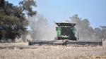 Harvest rain means growers need to monitor stored seed germination rates