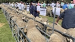 Sale of iconic Australian sheep stations receives government approval