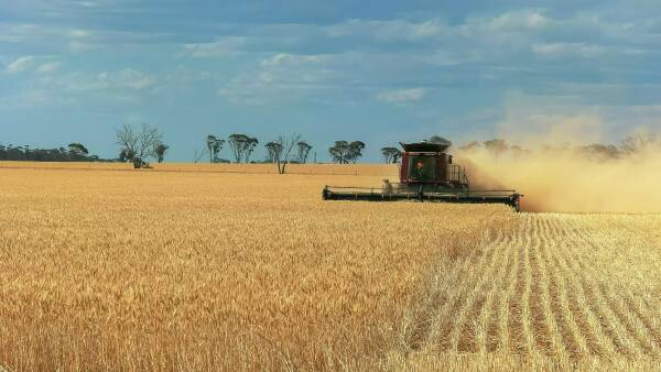 Farmers confident they can continue to rise to the climate change challenge