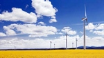 Wind farm companies object to 'phantom house' tactics from farmers