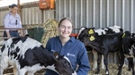 How sensor technology is helping make dairy cows more heat tolerant