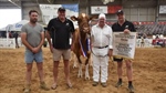 Red and White Holstein cow with amazing pedigree finally claims top prize