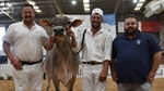 Brown Swiss stalwarts recognised with award at International Dairy Week