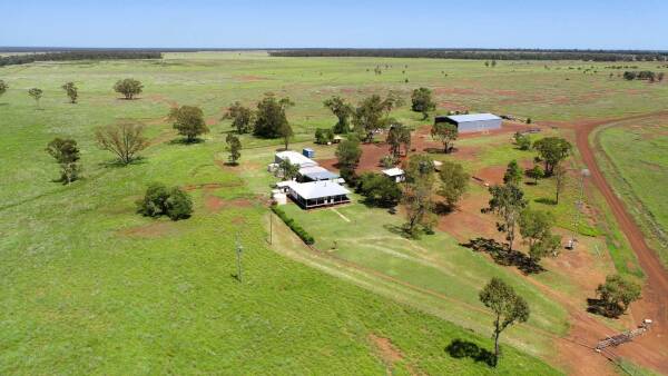 Developed buffel grass country in the spotlight with exclusion fenced Noona