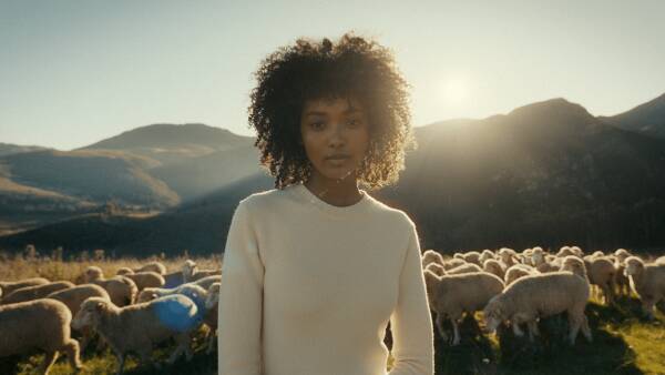 Wear Wool, Not Waste campaign smashes viewing target