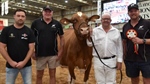 Red and White Holstein makes history at IDW as Instyle wins back-to-back