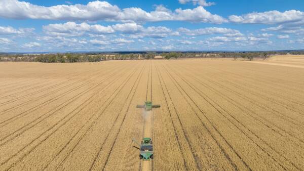 Outstanding inner Darling Downs farm with 1700 acres of quality cultivation